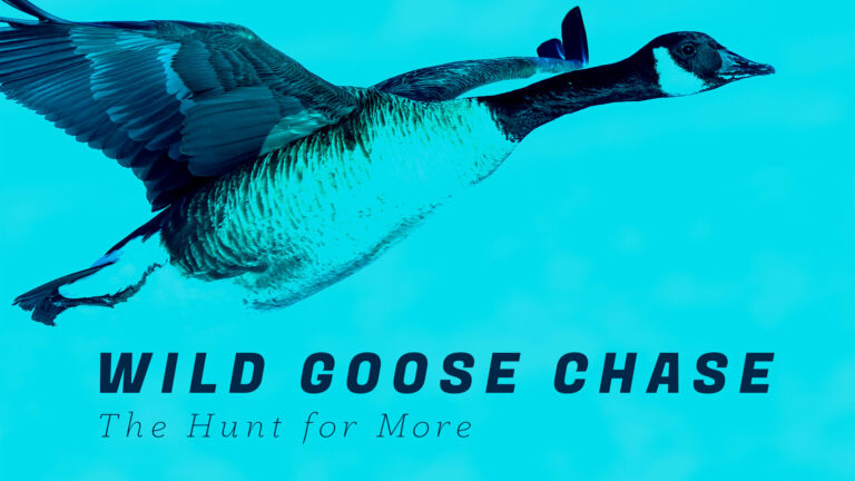 Wild+Goose+Chase